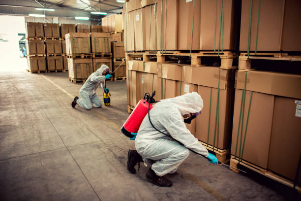 Best Mosquito Control Services  in New Deal, TX