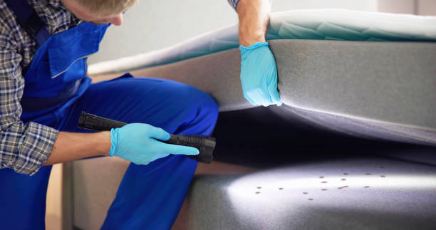 Wasp Removal Services in New Deal, TX