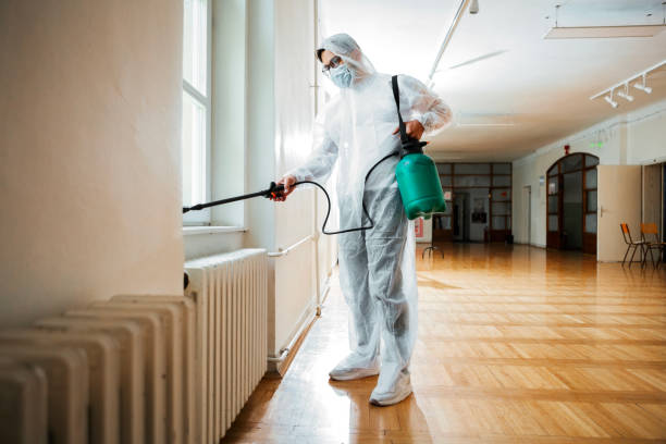Best Flea Control Services  in New Deal, TX