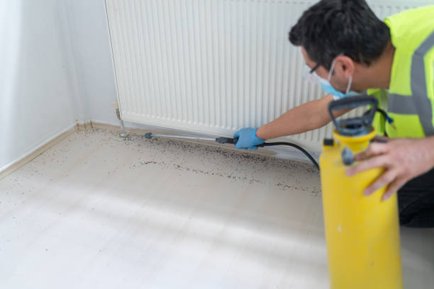 Best Rat Extermination Near Me  in New Deal, TX