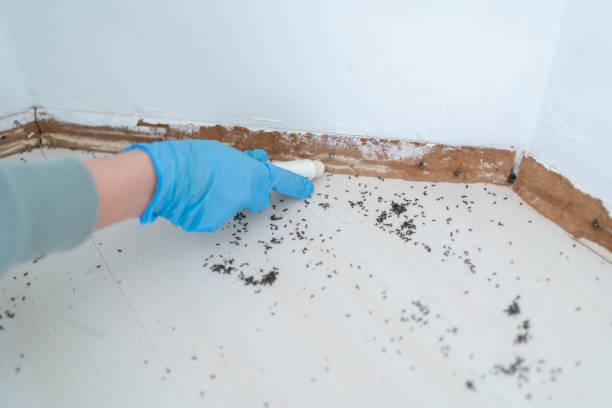 Best Exterminator Services  in New Deal, TX