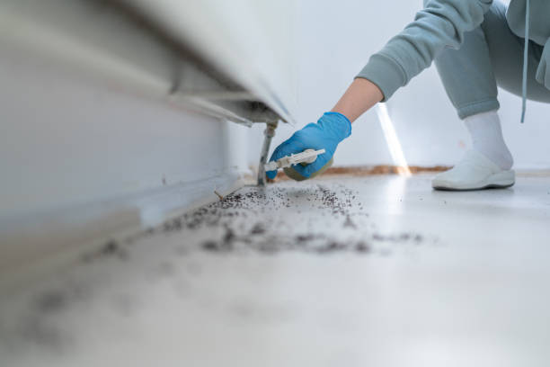 Best Best Pest Control Companies  in New Deal, TX